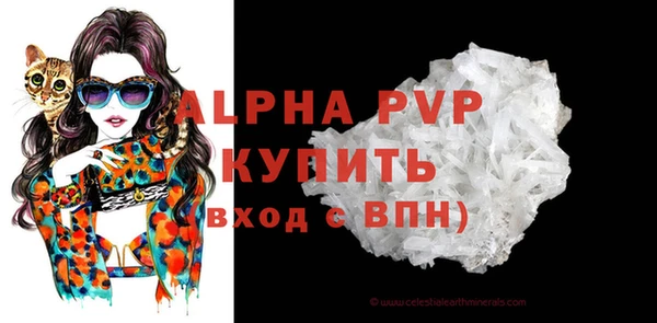шишки Абаза