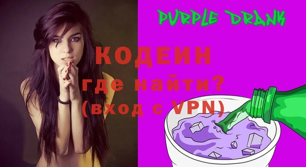 шишки Абаза