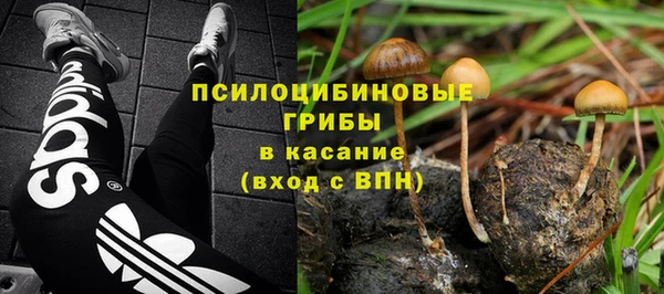 шишки Абинск