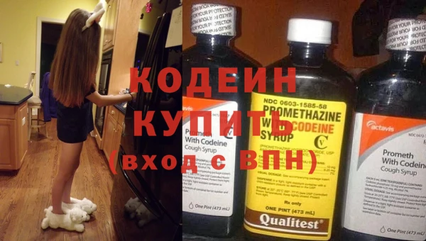 шишки Абаза