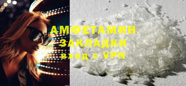 шишки Абаза