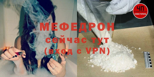 шишки Абаза