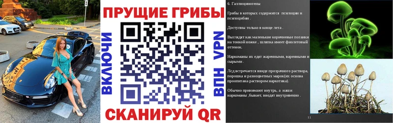 Галлюциногенные грибы GOLDEN TEACHER Карачев